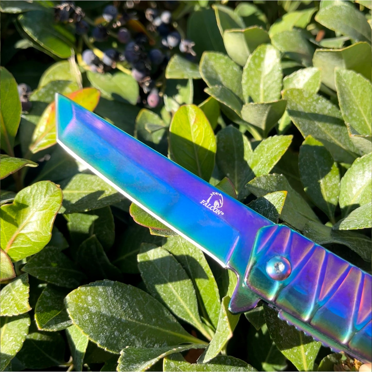 Falcon 7.75" Rainbow Tanto Blade Folding Knife