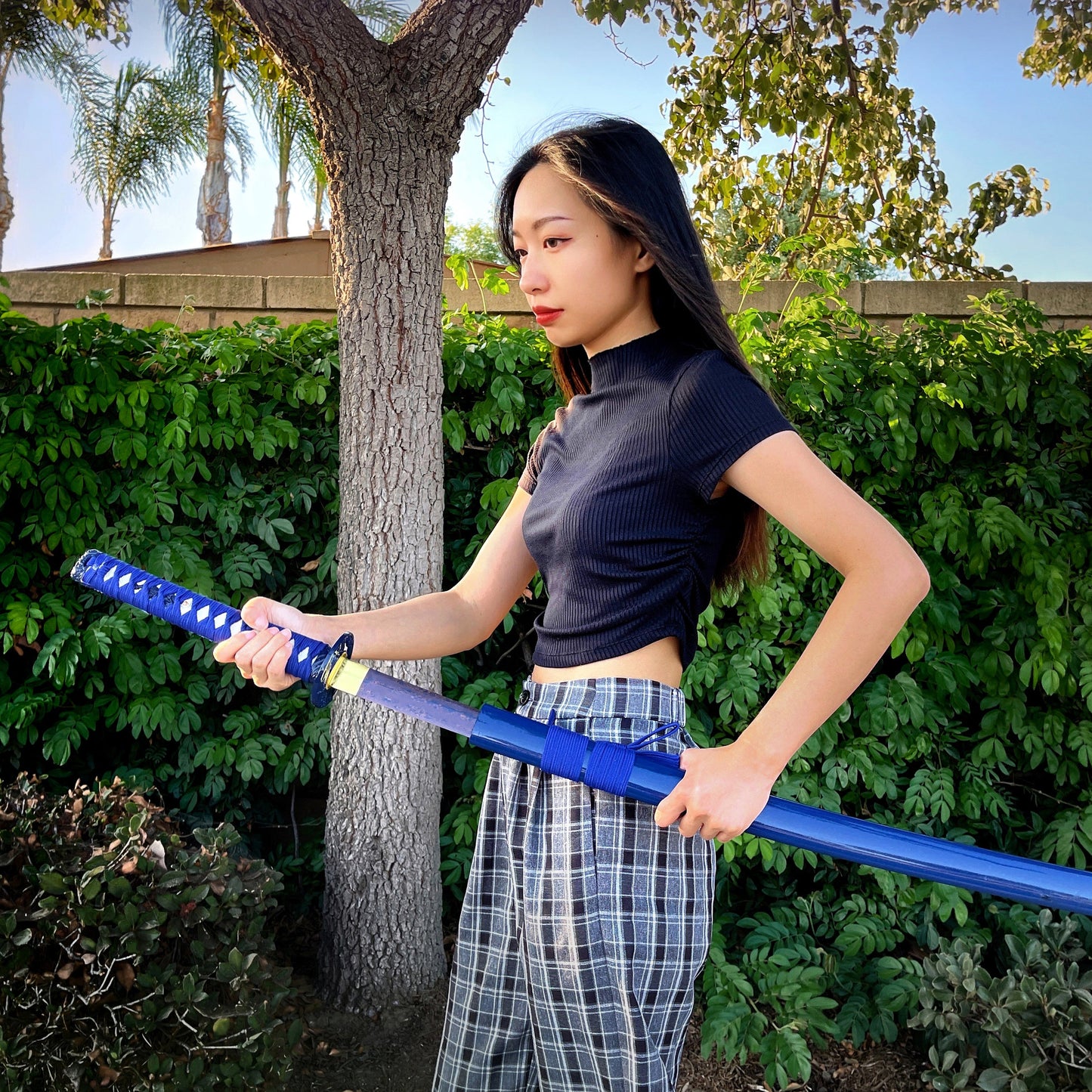 Musha Blue Phoenix Katana