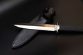 Musha Black Warrior Practical Shinwa Tanto Knife