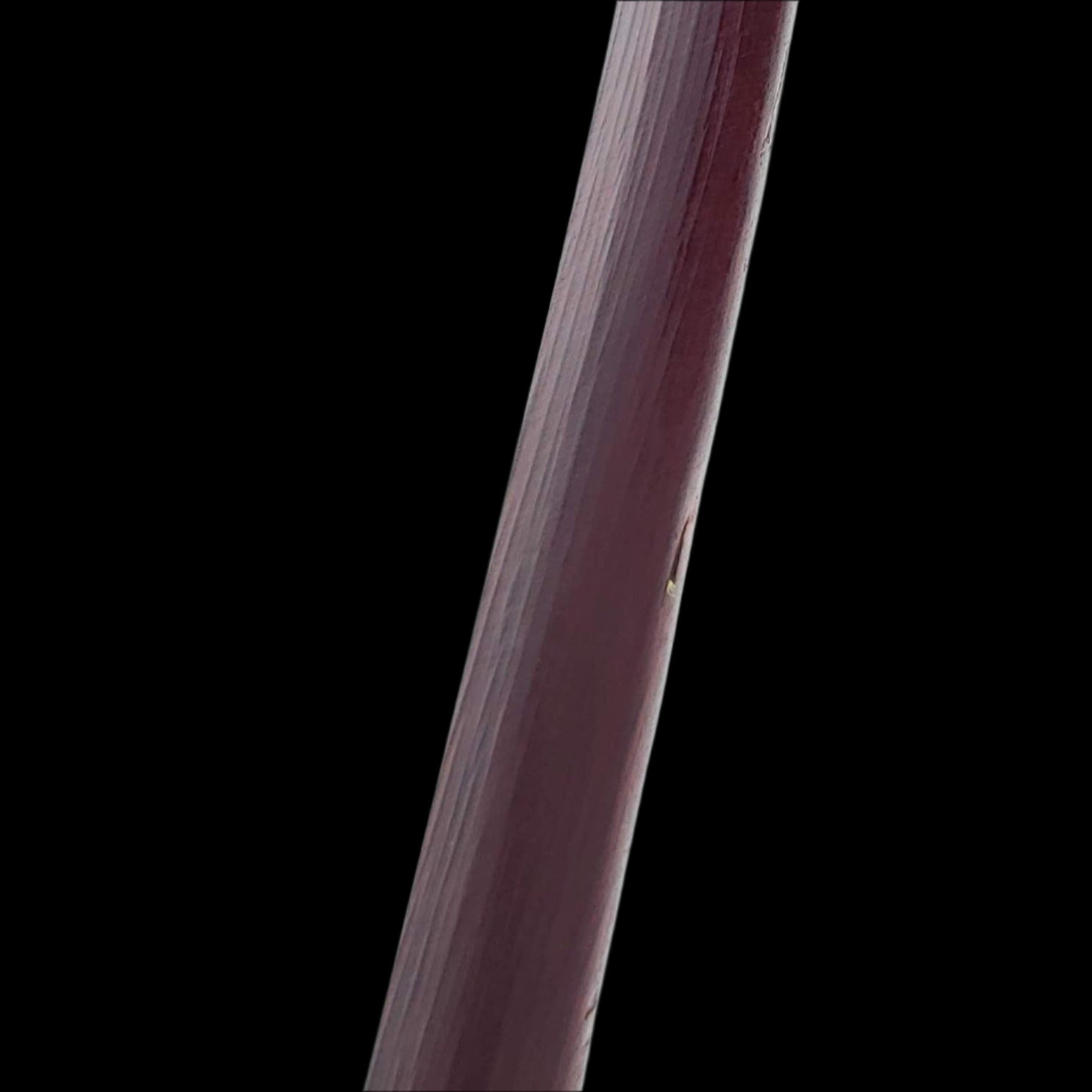 Wholesale Bokken Swords - Practice Red Wooden Samurai Sword (Bokken)